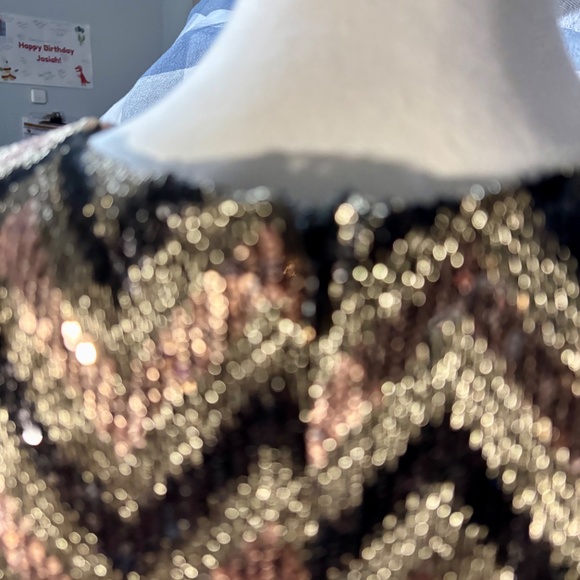 Forever 21+ Sequin Dress - Picture 4 of 10